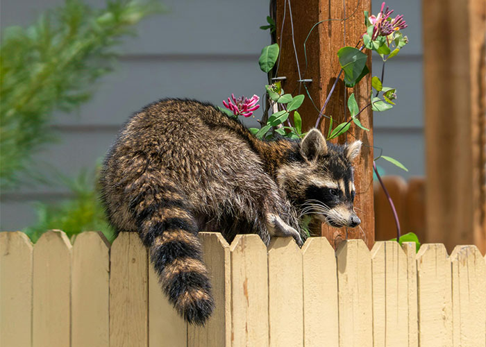 Couple Enjoy A Glass Of Wine After Making Greedy Landlord Regret Keeping Their Deposit