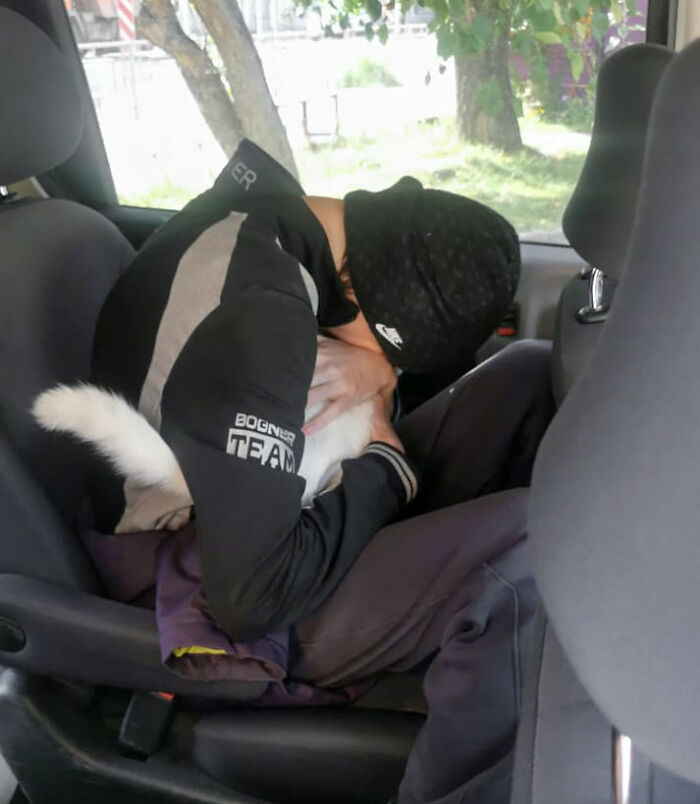 My Mother Found My Cat Online After A Whole Year Of Being Lost