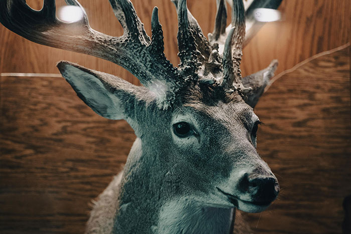 30 Modern-Day Signs Of Wealth That Will Most Likely Become Obsolete