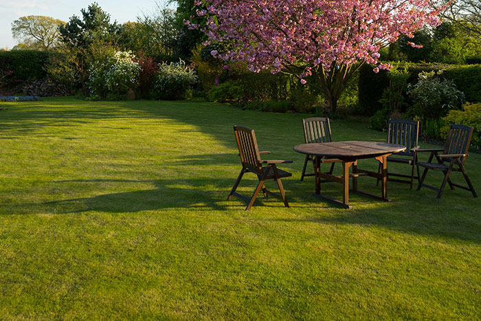 30 Modern-Day Signs Of Wealth That Will Most Likely Become Obsolete