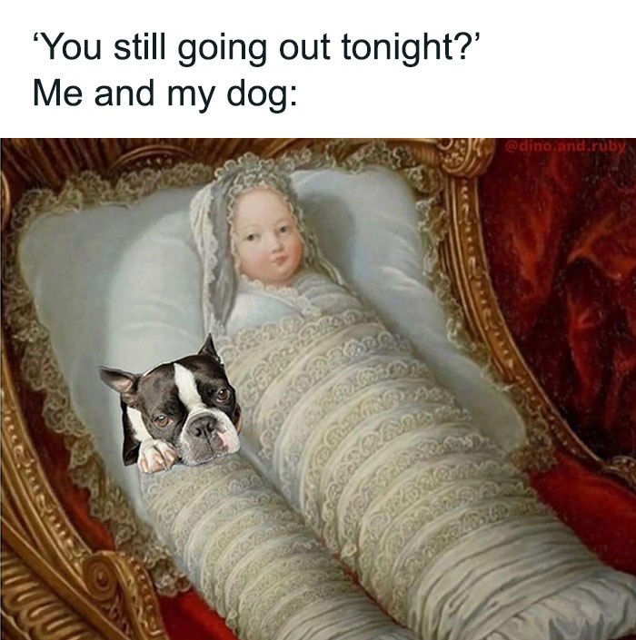 A relatable meme of a baby and a dog in bed, captioned about staying in instead of going out.