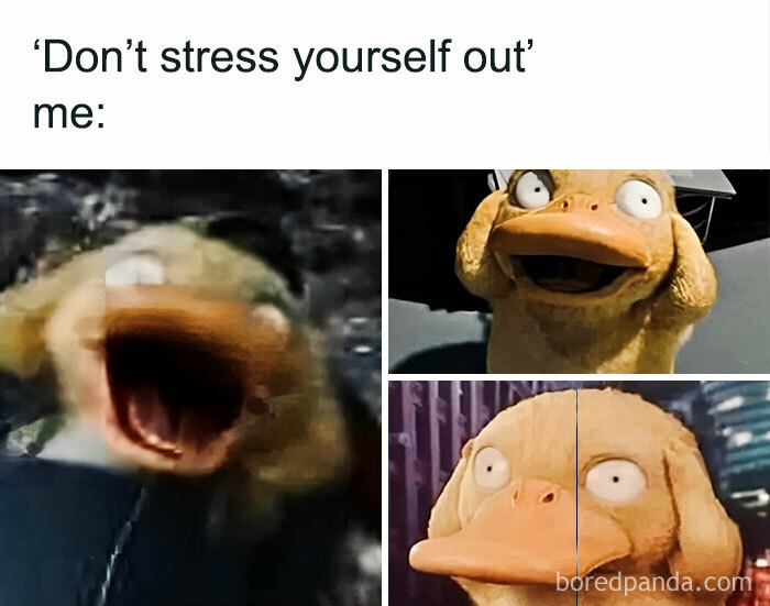 Fun-Jokes-Relatable-Memes