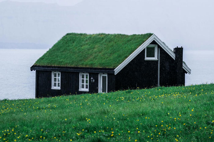 Family Plans Fall Apart Over Neighbor’s Stubbornness, They Don’t See Any Issue Family Plans Fall Apart Over Neighbor’s Stubbornness, They Don’t See Any Issue