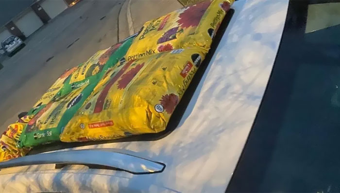 Used Bags Of Potting Soil To Shield The Vehicle’s Sunroof In A Recent Storm