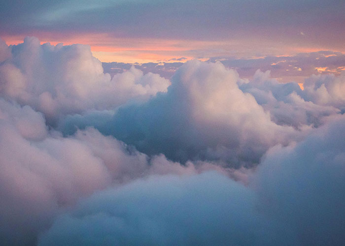 “Couldn’t Possibly Be Bears”: 45 People Who Discovered That They Were Dating Idiots