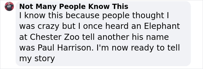 Scientists Say Elephants May Have Their Own &lsquo;Names&rsquo; For Each Other, And Netizens Are Very Intrigued