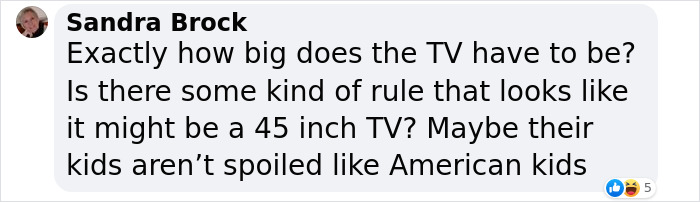 Prince William And Kate Middleton&rsquo;s TV Size Exemplifies &ldquo;British Class System&rdquo; People Claim