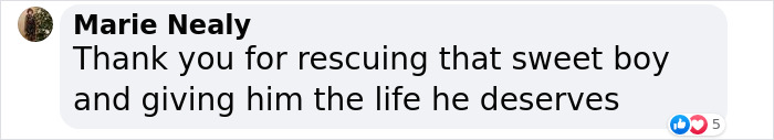 Through The Shelter Doors One Last Time: Family Returns ‘Heartbroken’ Dog to Shelter After 8 Years Through The Shelter Doors One Last Time: Family Returns ‘Heartbroken’ Dog to Shelter After 8 Years