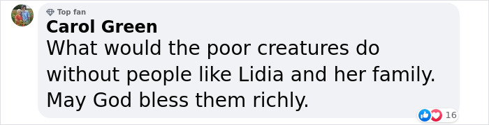 A Woman Lays Her Dear Old Dog To Rest When Suddenly Abandoned Puppy Appears Out Of Nowhere