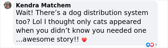 A Woman Lays Her Dear Old Dog To Rest When Suddenly Abandoned Puppy Appears Out Of Nowhere