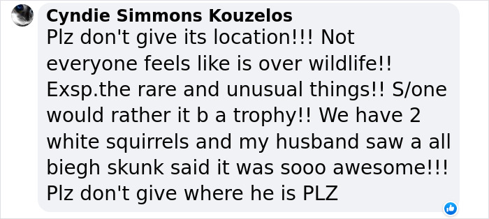 Guy Goes Viral After Sharing His Encounter With An Unusual Golden-Furred Possum