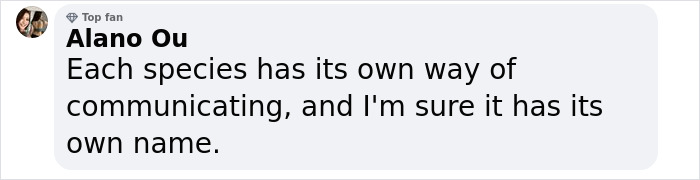 Scientists Say Elephants May Have Their Own &lsquo;Names&rsquo; For Each Other, And Netizens Are Very Intrigued