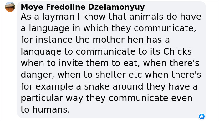 Scientists Say Elephants May Have Their Own &lsquo;Names&rsquo; For Each Other, And Netizens Are Very Intrigued