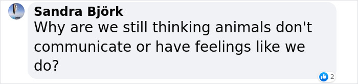 Scientists Say Elephants May Have Their Own &lsquo;Names&rsquo; For Each Other, And Netizens Are Very Intrigued