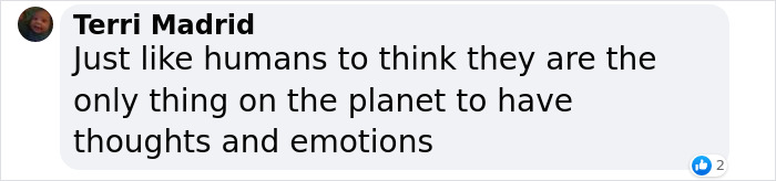 Scientists Say Elephants May Have Their Own &lsquo;Names&rsquo; For Each Other, And Netizens Are Very Intrigued