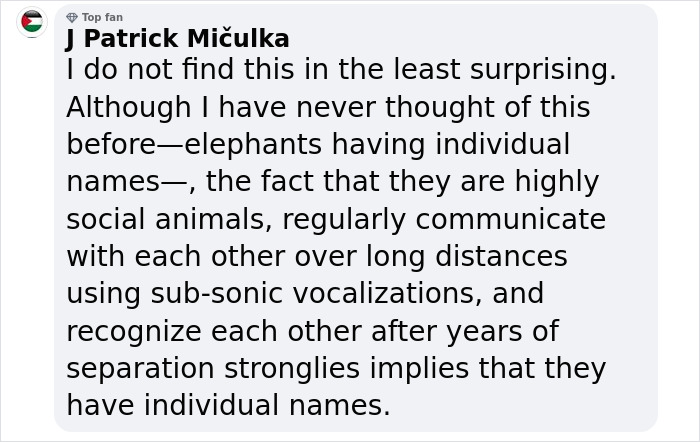 Scientists Say Elephants May Have Their Own &lsquo;Names&rsquo; For Each Other, And Netizens Are Very Intrigued