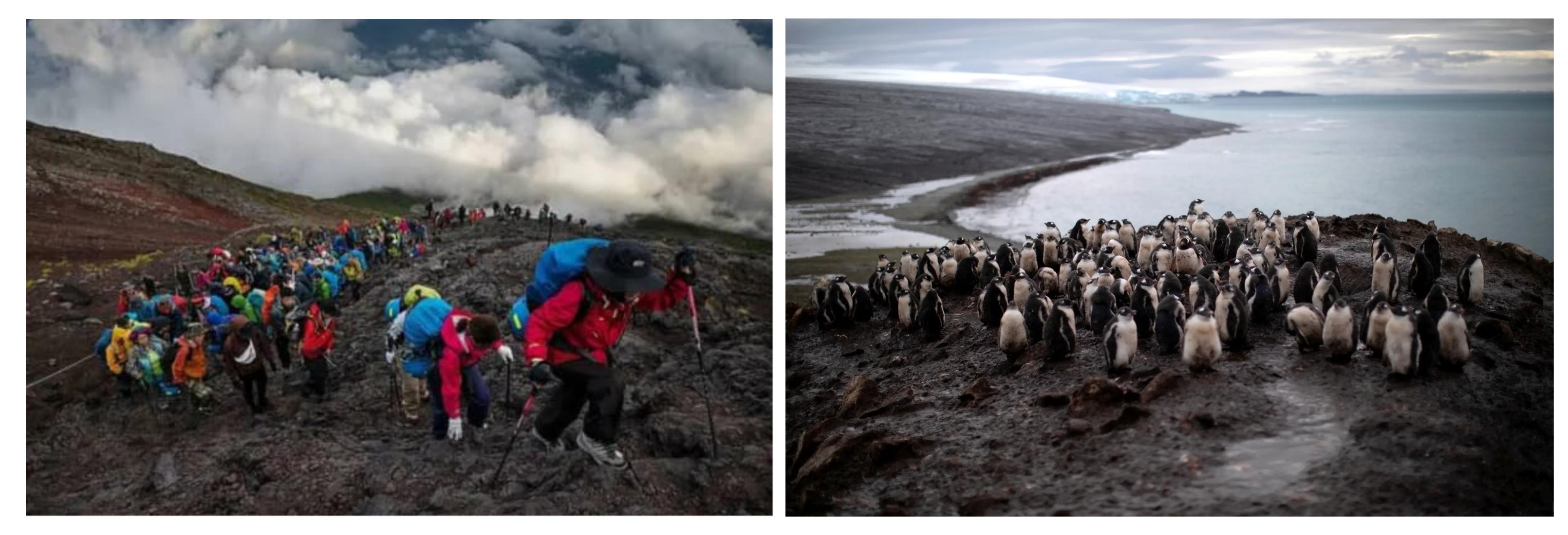 Mount Fuji Tourism Is Like…