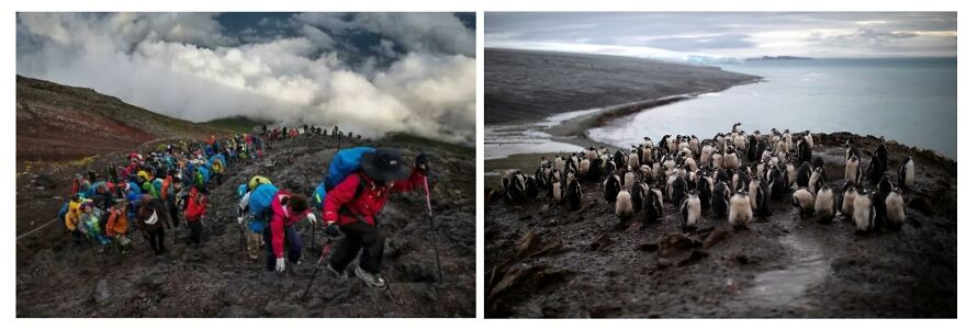 Mount Fuji Tourism Is Like...