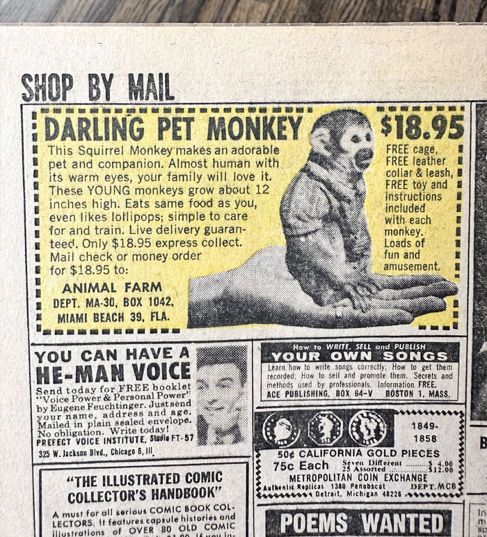 An Ad To Buy A Squirrel Monkey For Less Than $20 In A Comic Book From The 1960s
