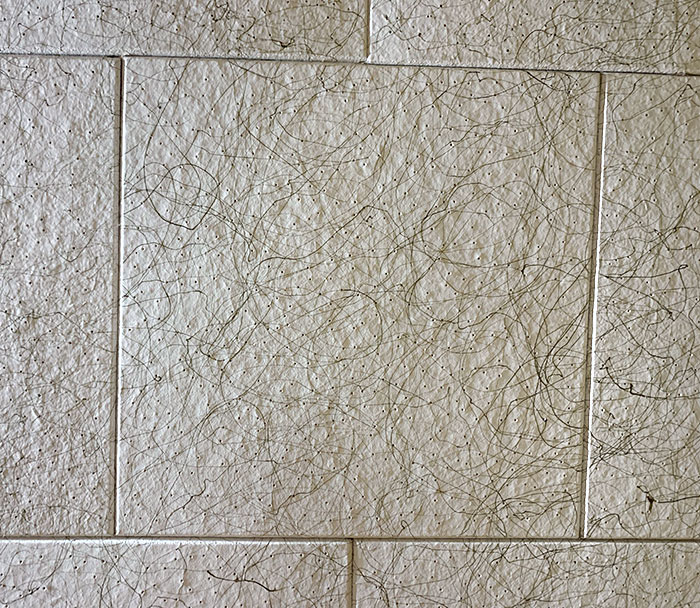 ¿Quién no querría un techo que parece cubierto de pelos?