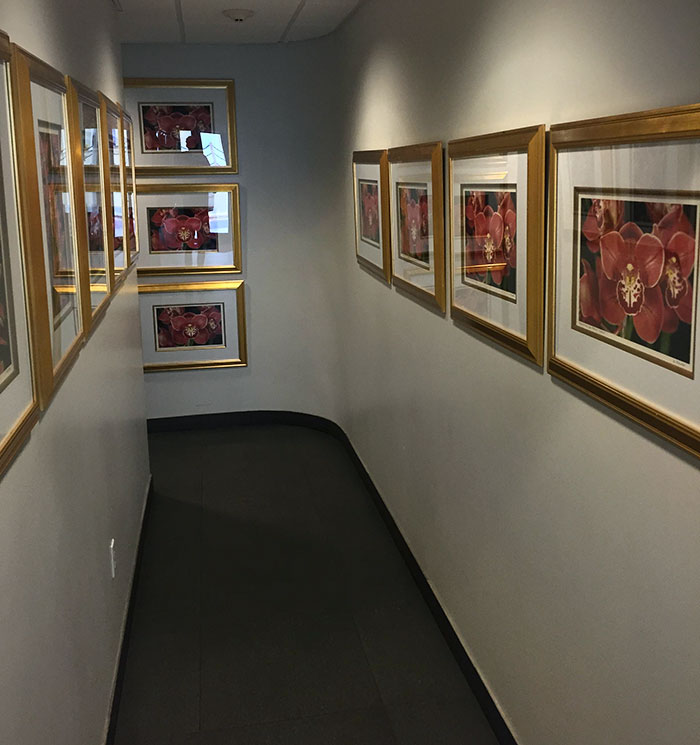 Este pasillo está repleto de 12 copias enmarcadas del mismo cuadro