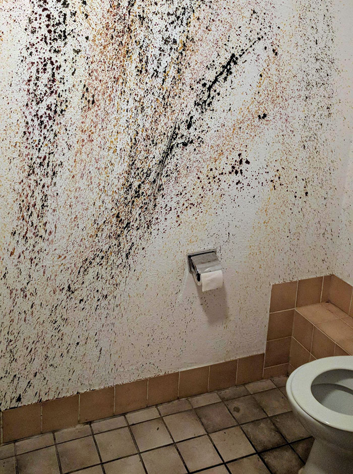 El arte mural de este baño no es óptimo
