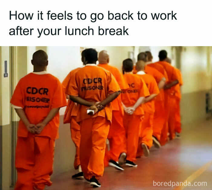 Random-Hilarious-Memes-Jokes