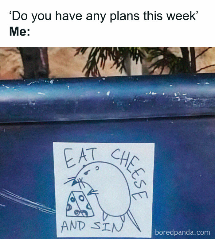 Random-Hilarious-Memes-Jokes