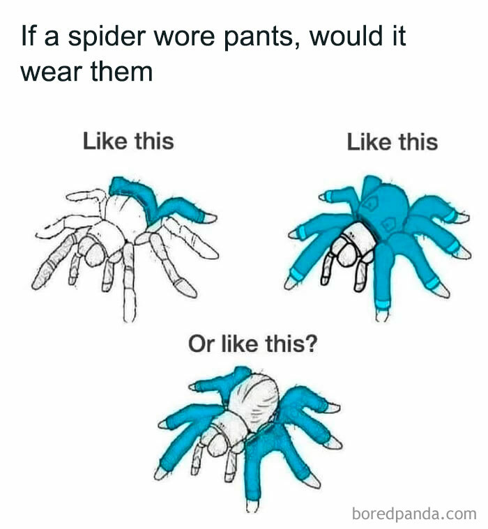 Spider wearing pants meme showing three humorous options for leg placement.
