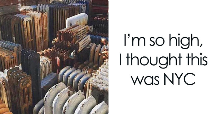 50 Random Memes That Have No Business Being So Funny