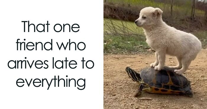 50 Hilariously Relatable Memes That You Might Want To Spam Your Friends With (New Pics)