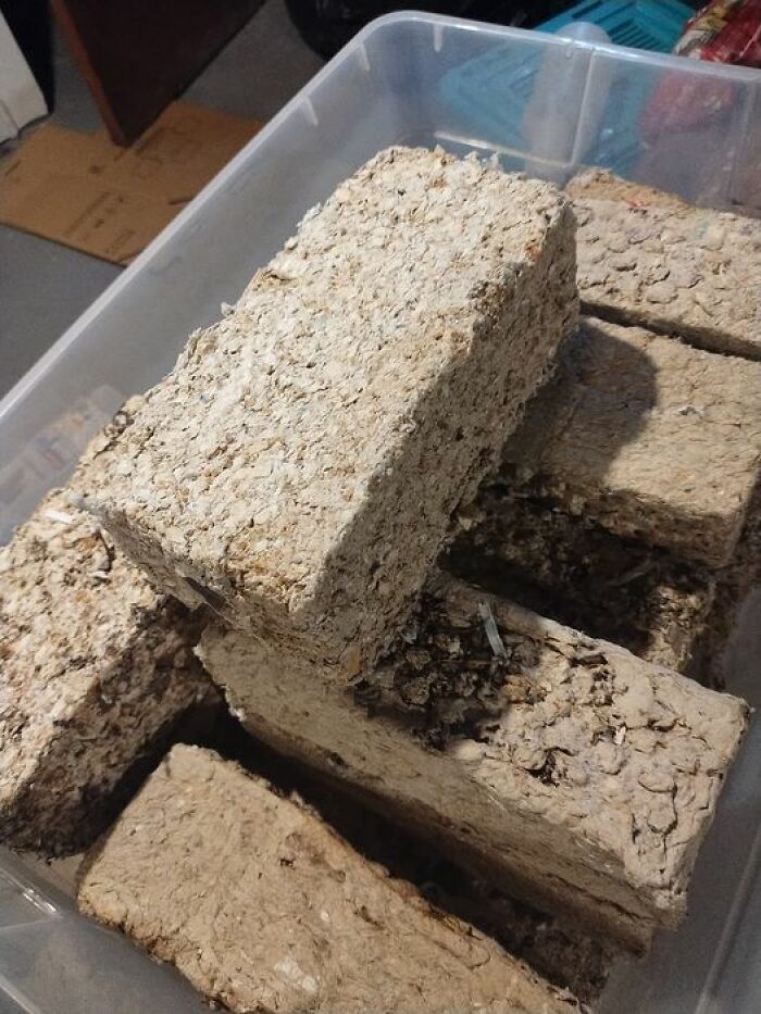 A Great Way To Recycle All The Weekly Ads And Your Junk Mail. Homemade Fire Bricks