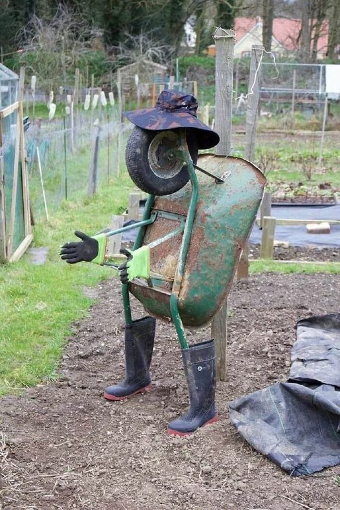 A New Scarecrow In Town