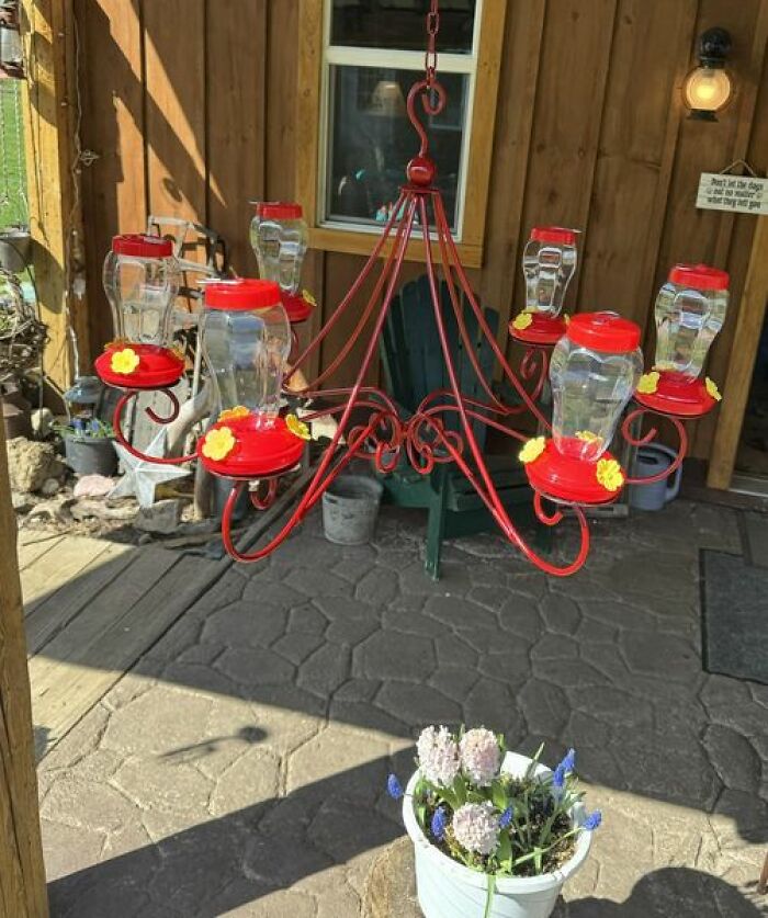 Old Candle Chandelier Turned Onto Hummingbird Buffet