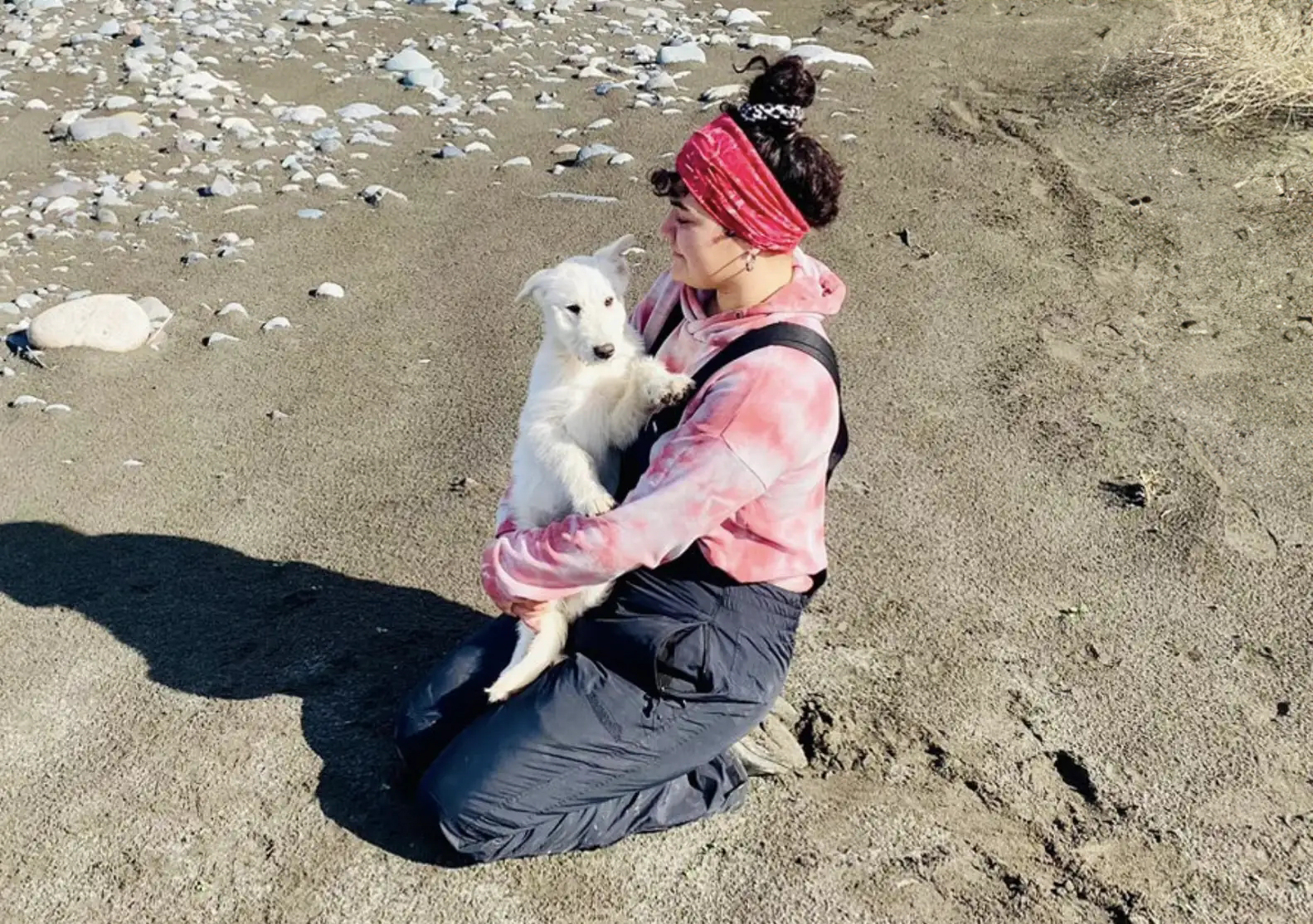 A Woman Lays Her Dear Old Dog To Rest When Suddenly Abandoned Puppy Appears Out Of Nowhere