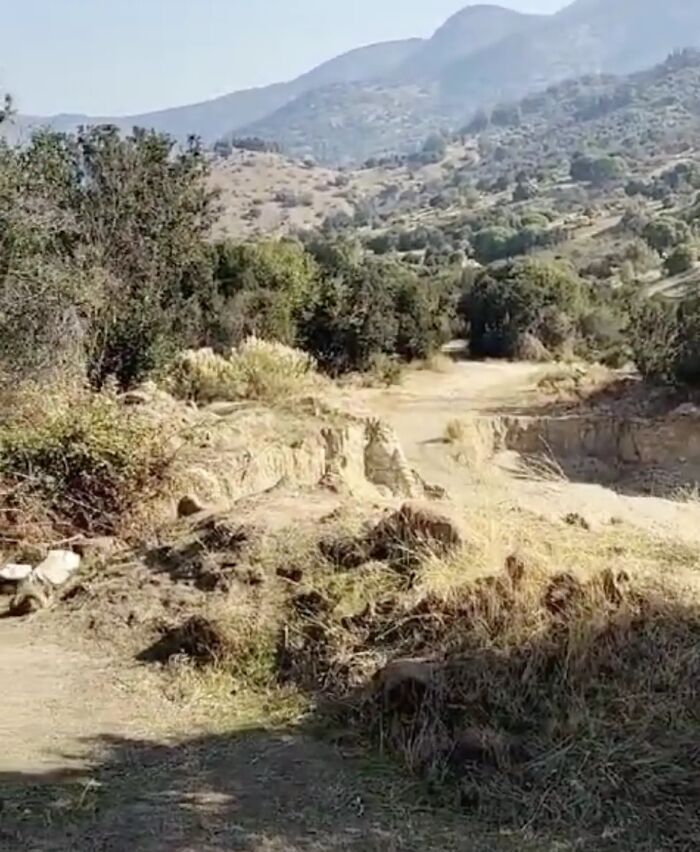 A Woman Lays Her Dear Old Dog To Rest When Suddenly Abandoned Puppy Appears Out Of Nowhere