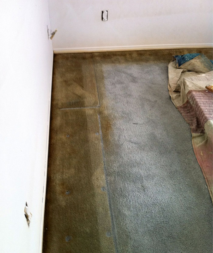I Do Repaints For A Landlord After His Tenants Move Out. This Is A Carpet Of A Smoker After They Moved Their Bed