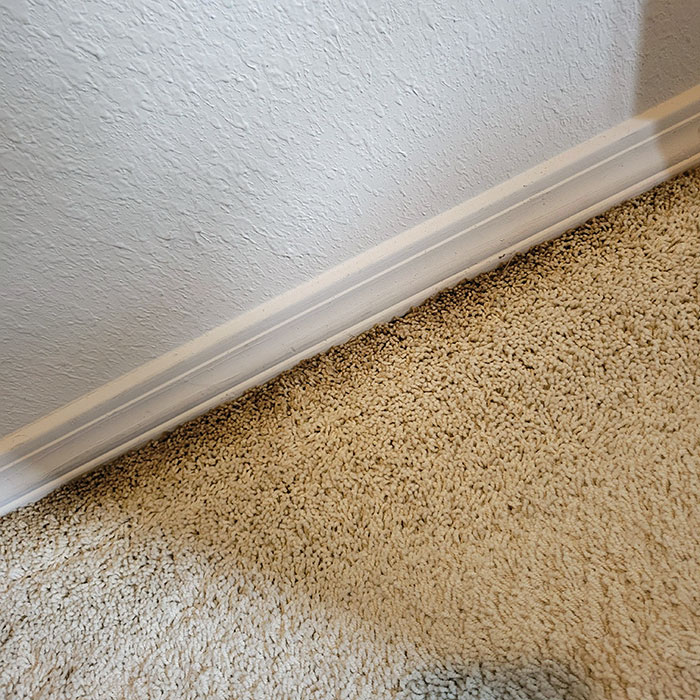 Nicotine Stains In The Carpet In The Bedroom Directly Above The Garage That My Partner's Father Smoked In For 20 Years