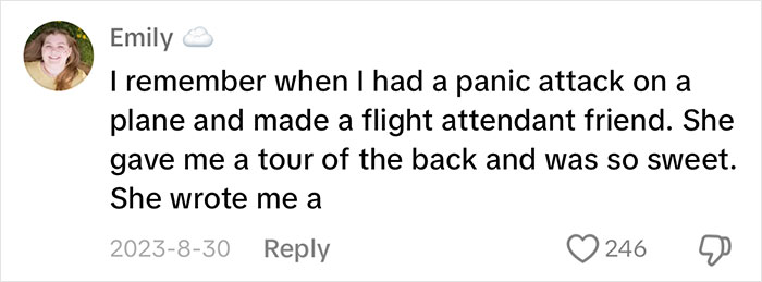 Flight Attendant Puts Her Foot Down When Disabled Female Passenger Kicks Up Fuss On Southwest Flight Flight Attendant Puts Her Foot Down When Disabled Female Passenger Kicks Up Fuss On Southwest Flight