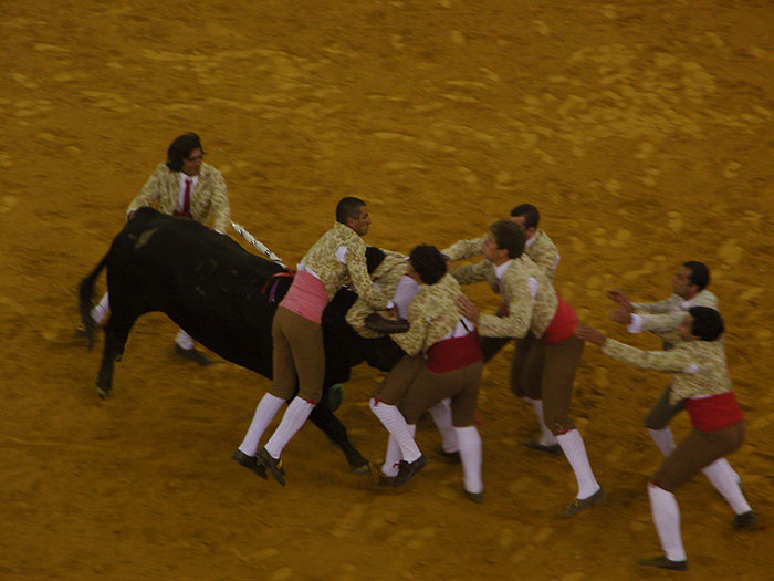 Group of men in traditional attire engaging with a bull, illustrating cultural stereotypes about people's home countries.