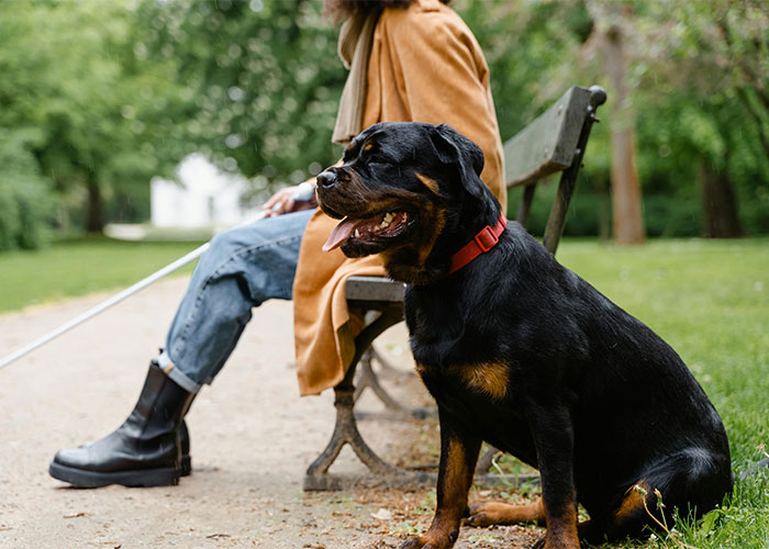 30 Wild Funeral Stories About Inappropriate, Weird Or Funny Things Happening