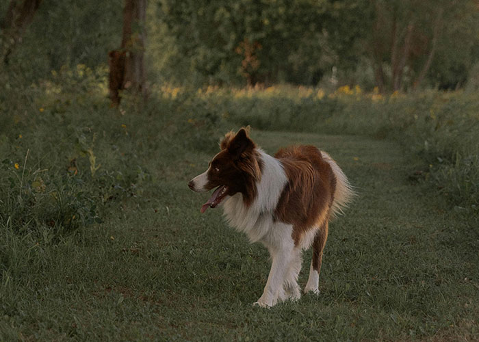 30 Wild Funeral Stories About Inappropriate, Weird Or Funny Things Happening