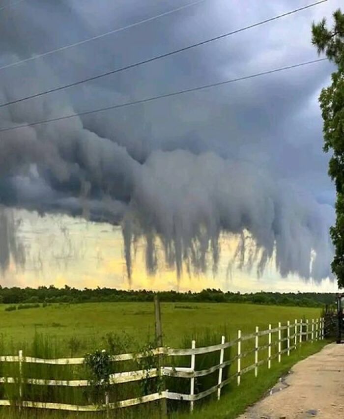 Estas son las llamadas nubes pannus. Esta imagen fue captada recientemente en Carolina del Sur por Zachary Lane