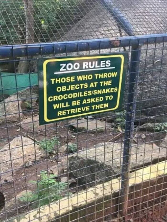 Zoo Rules! 😂