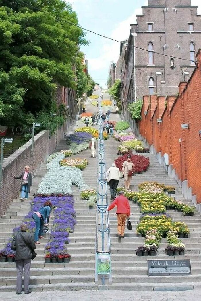 Bueren Stairs (Liege-Belgium) 🌼
