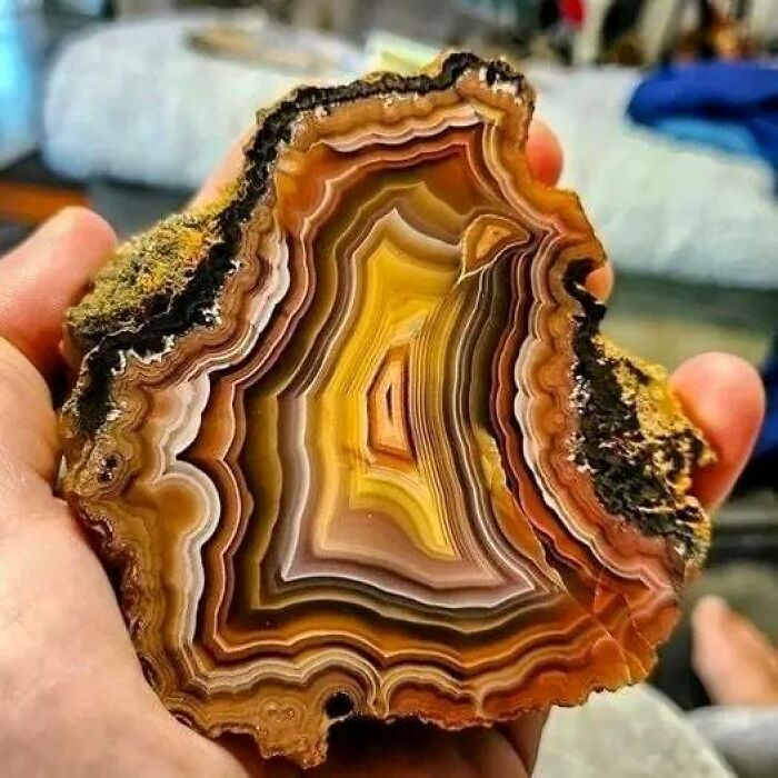 Beautiful Rare Coyamito Agate From The Deserts Of Mexico, The Only Place It Can Be Found On Earth!