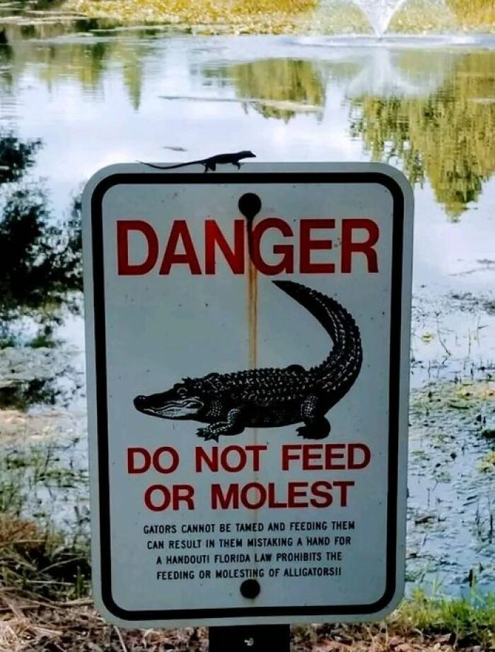 Things May Be Smaller Than They Seem.😉