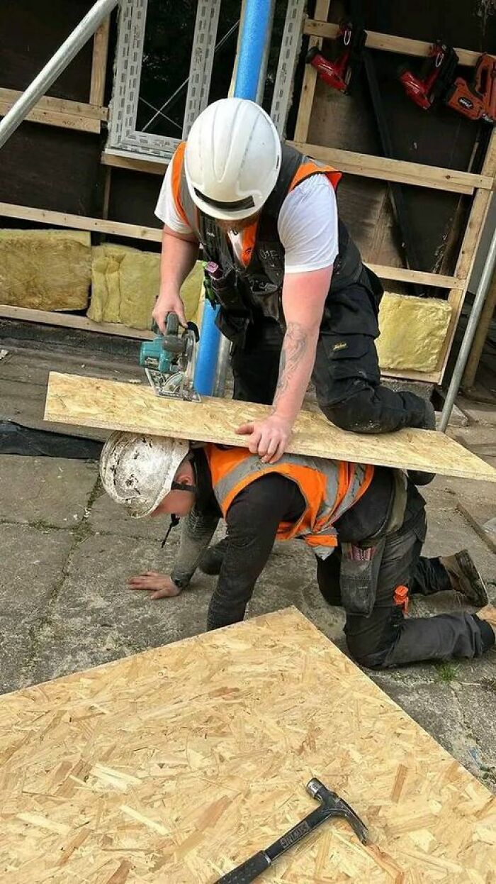 Who Needs A Work Bench, When You Have A Work Buddy