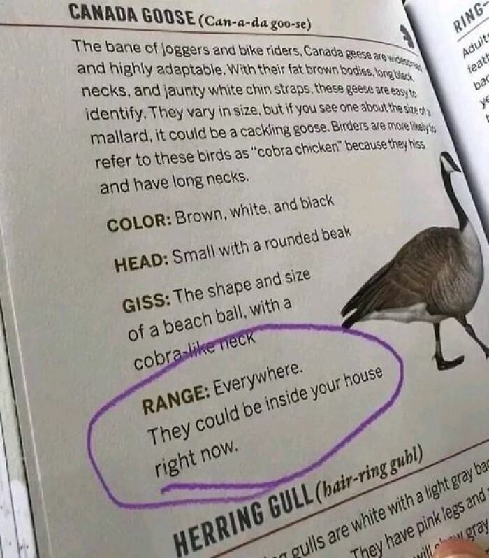 This Is Hilarious 😂