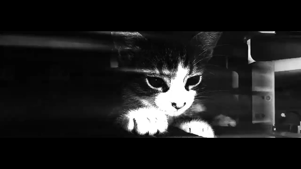 Das Machina(The Machine)